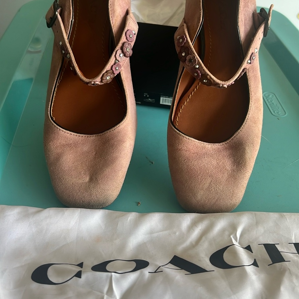 Coach Mary Jane, flat suede pink with embellishment on the strap.